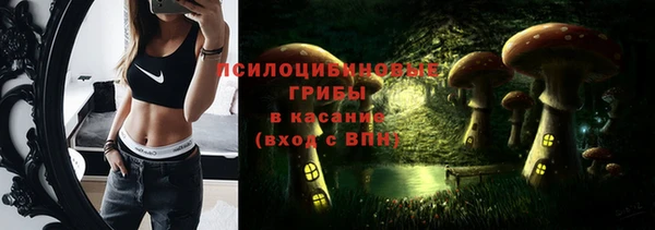 apvp Богородицк