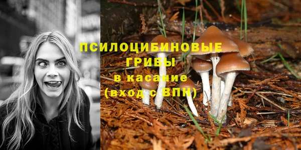 сатива Богданович