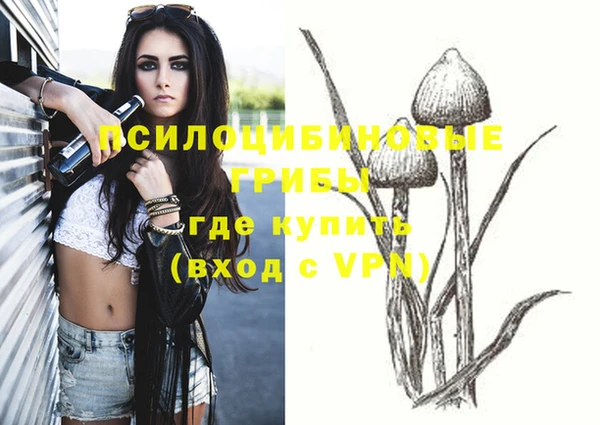 ешки Белоозёрский