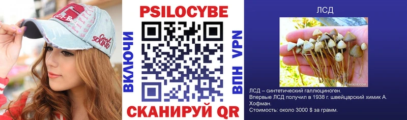 даркнет клад  Валуйки  Псилоцибиновые грибы Magic Shrooms 